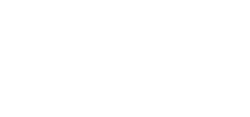 Absolute IT logo